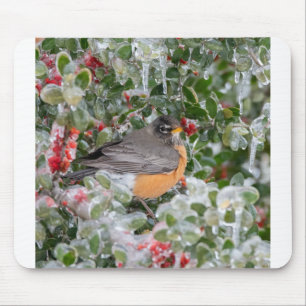 Robin zu Weihnachten Mousepad