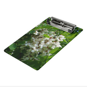 Robinia Blume Mini Klemmbrett