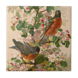 Robins 1896 fliese