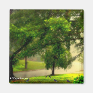 Robins auf dem Rasenmagnet Magnet