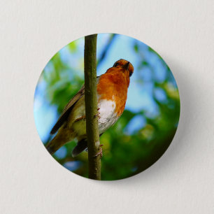 ROBINS BUTTON