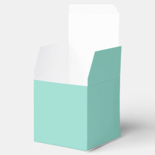 Robin's Egg Blue Geschenkschachtel