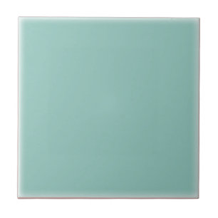 Robin's Egg Blue (Keramik Tile) Fliese
