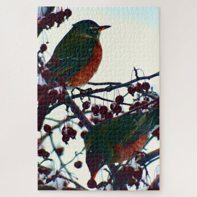 Robins im Winter (Vertikal)