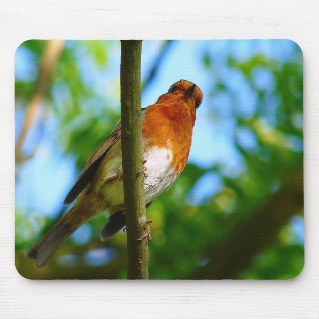 ROBINS MOUSEPAD (Vorne)