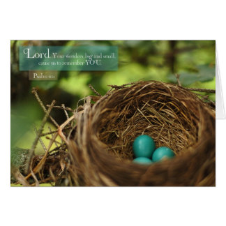 Robins Nest