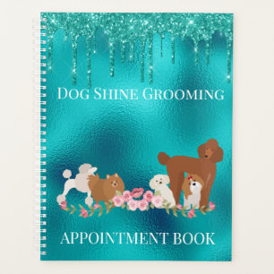 Robin's Oeuf Blue Chien Grooming Parties scintilla