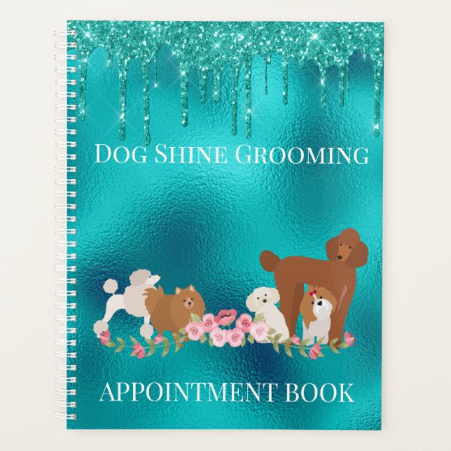 Robin's Oeuf Blue Chien Grooming Parties scintilla (Devant)
