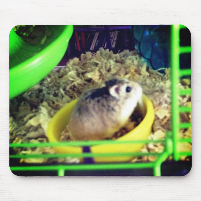 Robo Hamster Mousepad (Vorne)