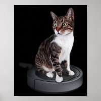 Robot Cat Vacuum Cleaner Feline Animal Niedlich Ca