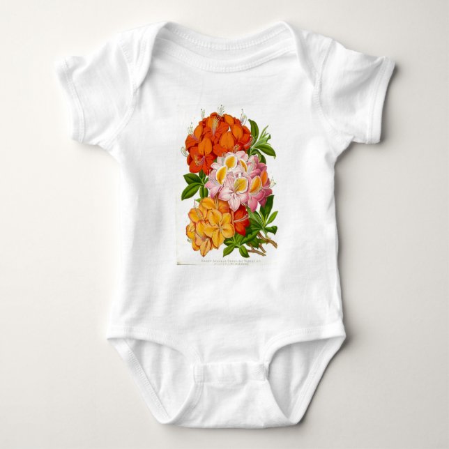 "Robuste Azaleen" durch Sir Joseph Paxton Baby Strampler (Vorderseite)