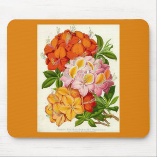 "Robuste Azaleen" durch Sir Joseph Paxton Mousepad