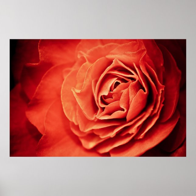 robustes Leben Poster (Vorne)