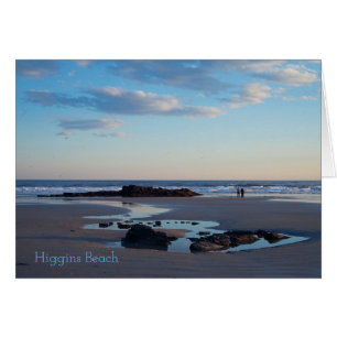 Roche du dollar de sable de plage de Higgins