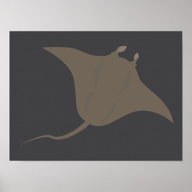 Rochen Poster (Vorne)