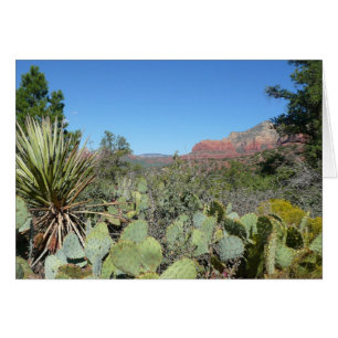 Rochers rouges et cactus I