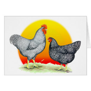 Roches de Plymouth :  Lever de soleil