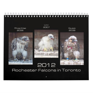 Rochester-Falcons 2012 in Toronto-Kalender Kalender