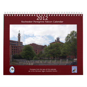 Rochester-Wanderfalke-Kalender 2012 Kalender