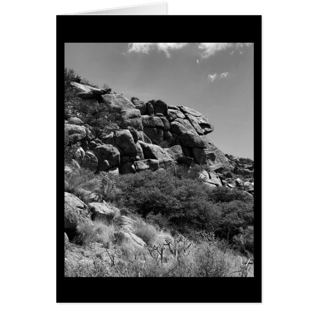 Rock and Roll (Vorne)