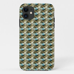 Rock Art Case
