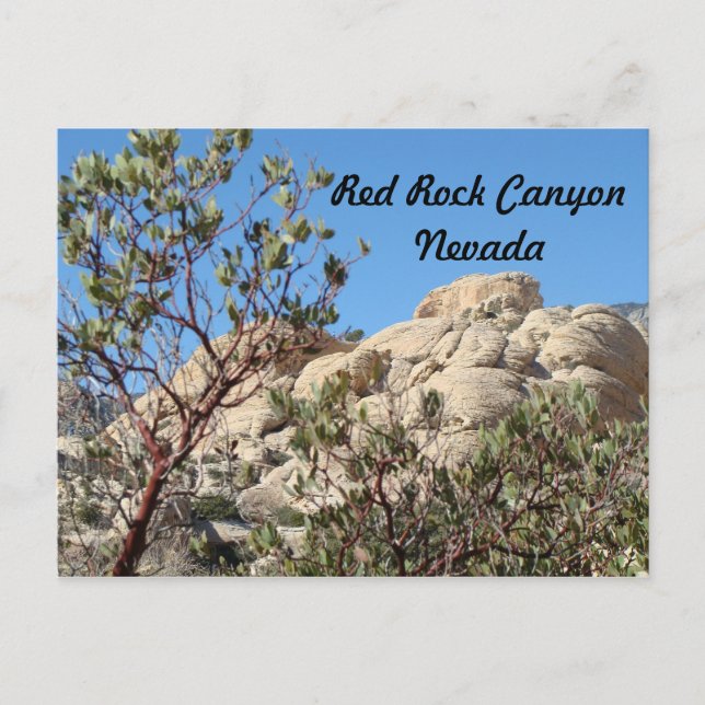 Rock Canyon Postcard Postkarte (Vorderseite)