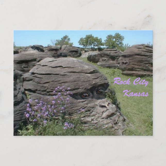 Rock City, Kansas Postkarte (Vorderseite)