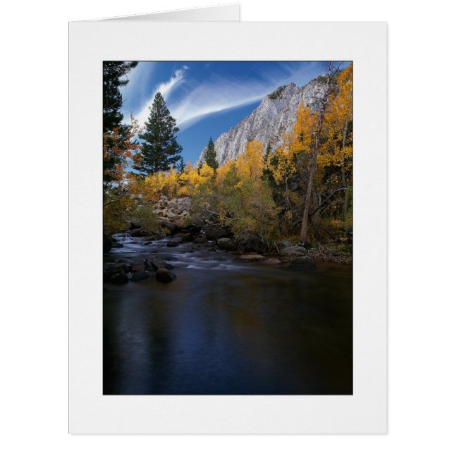 "Rock Creek Canyon Gold" (Vorderseite)