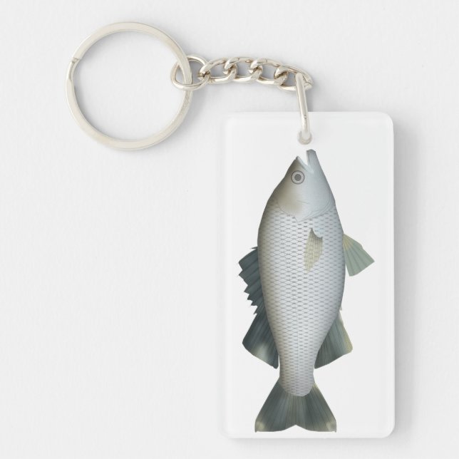 Rock Flagtail Schlüsselanhänger (Vorderseite)