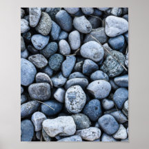 Rock Garden