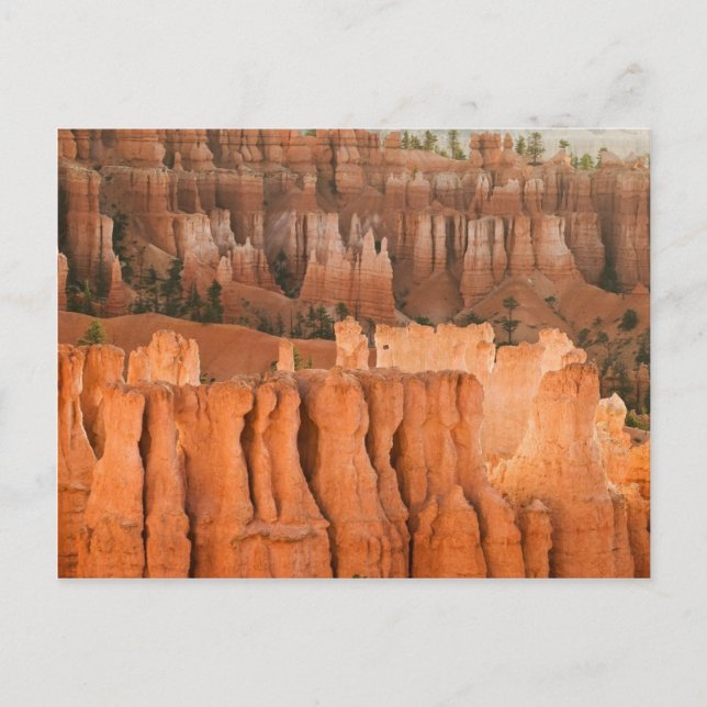 Rock Garden Postkarte (Vorderseite)