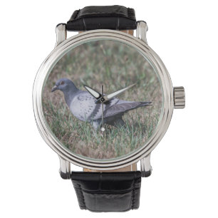 Rock Pigeon Armbanduhr