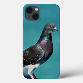 Rock Pigeon iPhone Fälle Case-Mate iPhone Hülle