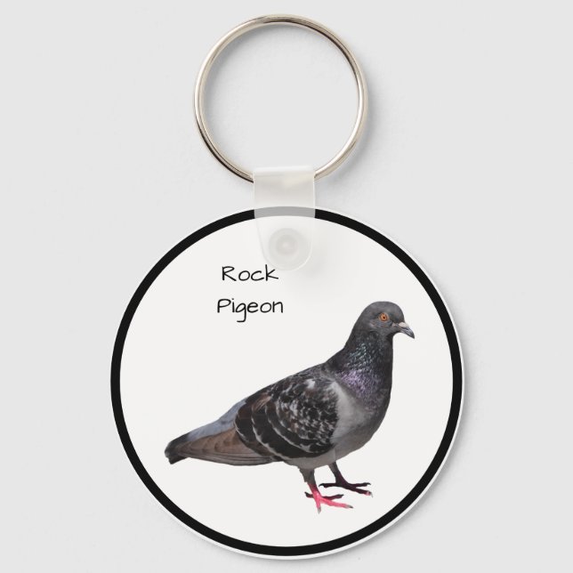 Rock Pigeon Schlüsselanhänger (Vorderseite)