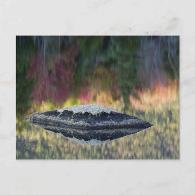 Rock und Baumreflexion, Lily Pond, Weiß Postkarte (Vorderseite)