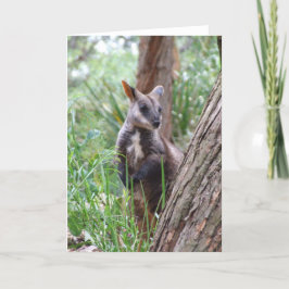 Rock Wallaby Grußkarte Karte