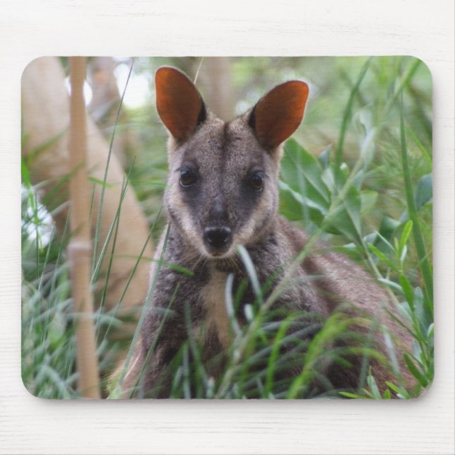 Rock Wallaby Mousepad (Vorne)