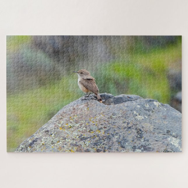 Rock Wren (Horizontal)