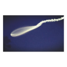 Rocket Jellyfish