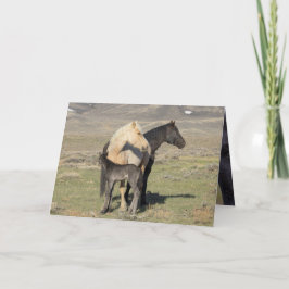 Rocket's Family Greeting Card Einladung