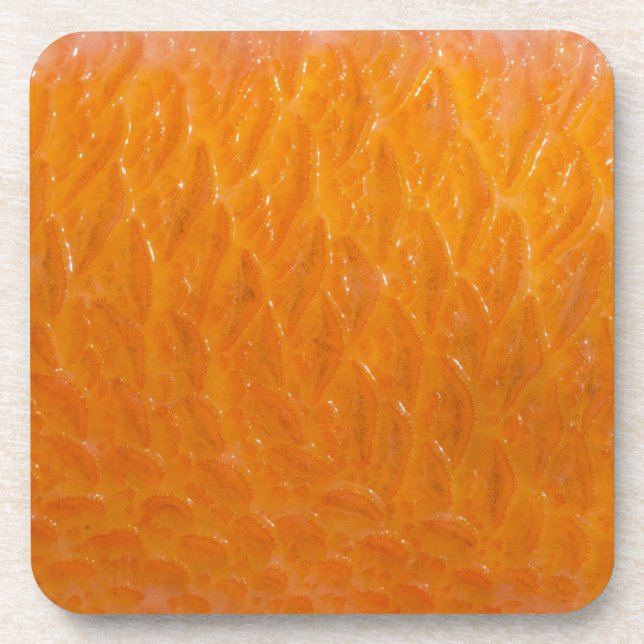 Rockfish Skin Getränkeuntersetzer (Vorderseite)