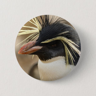 Rockhopper Penguin-Button Button