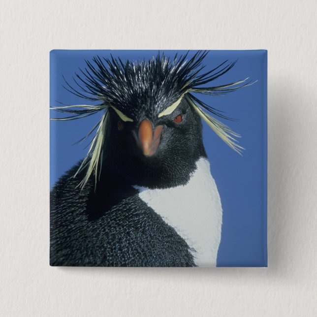 Rockhopper Penguin (Eudyptes chrysocome) Button (Vorderseite)