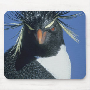 Rockhopper Penguin (Eudyptes chrysocome) Mousepad