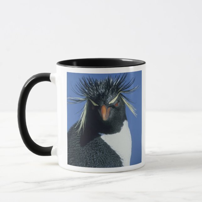 Rockhopper Penguin (Eudyptes chrysocome) Tasse (Links)