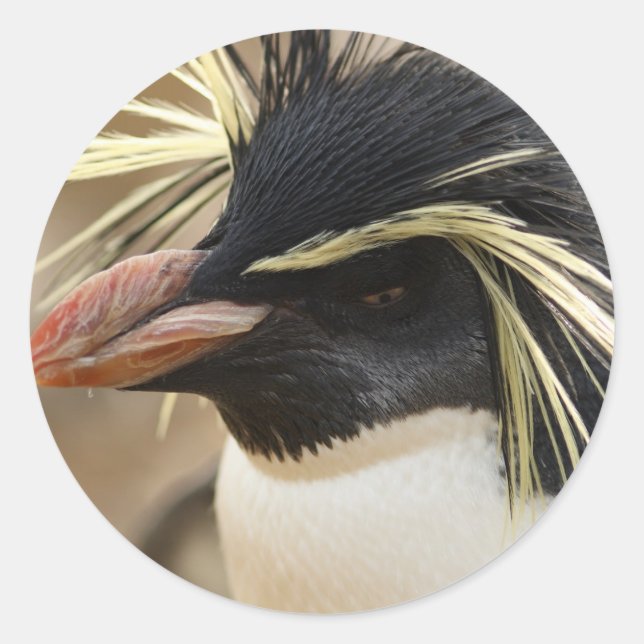 Rockhopper Penguin Stickers (Vorderseite)