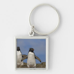 Rockhopper Penguins Eudyptes chrysocome Schlüsselanhänger