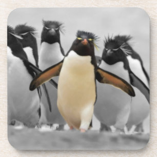 Rockhopper Penguins Untersetzer