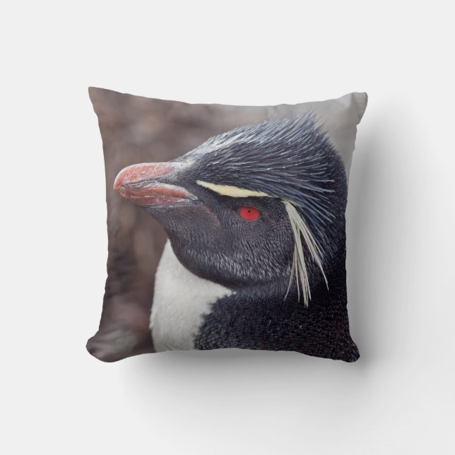 Rockhopper Pinguin-Kissen Kissen (Vorderseite)