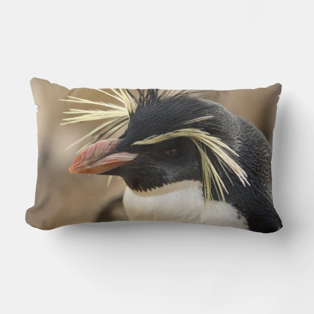 Rockhopper Pinguin-Kissen Lendenkissen (Vorderseite)